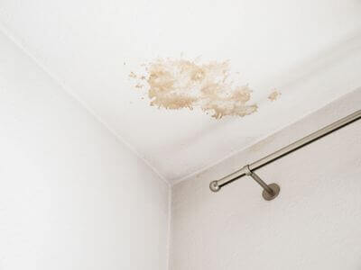 About Newnan GA Mold Remediation Pros - mold remediation experts in Newnan